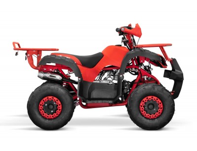 Kids petrol quad bike shop